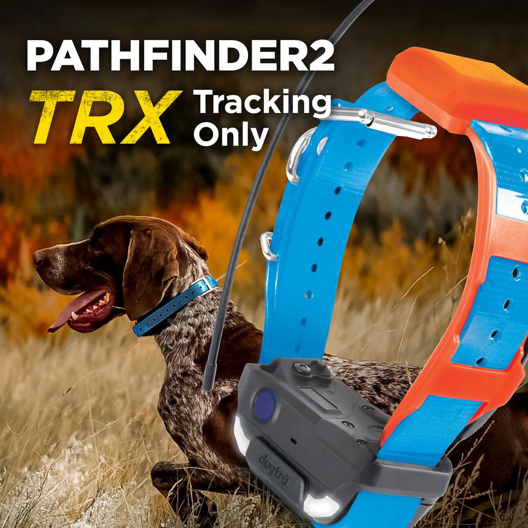 PATHFINDER2 TRX RECEIVER - BLUE