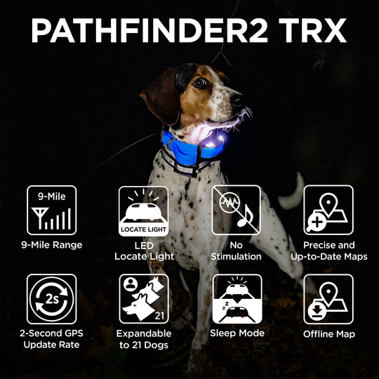 PATHFINDER2 TRX RECEIVER - BLUE