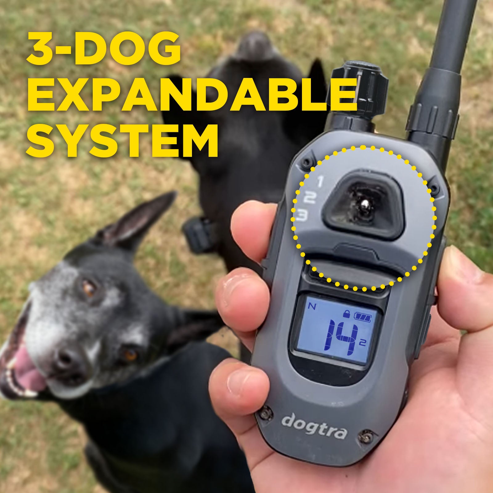 280X 2-DOG UNIT – MyDogtra.com