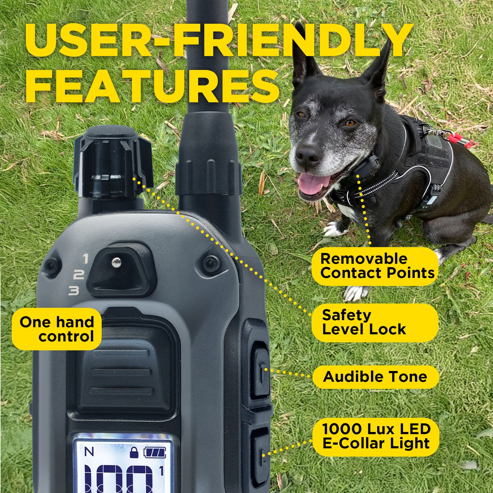 280X 1-DOG UNIT – MyDogtra.com