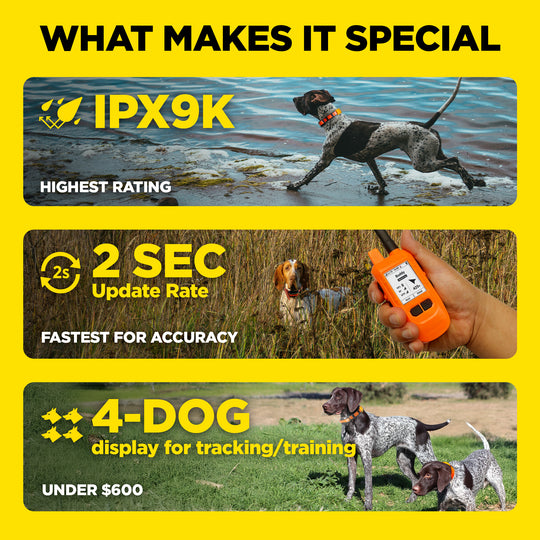 DOGTRA PATHFINDER2 COMPASS