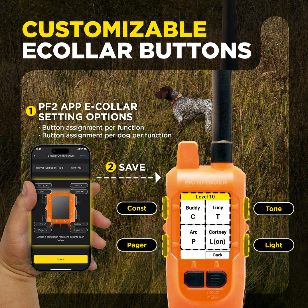 DOGTRA PATHFINDER2 COMPASS