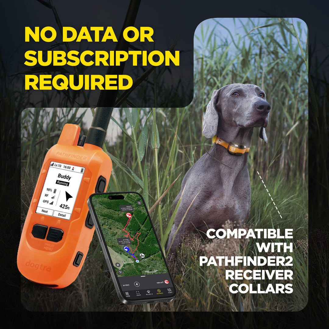 DOGTRA PATHFINDER2 COMPASS