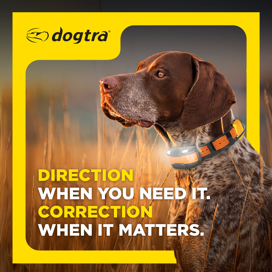 DOGTRA PATHFINDER2 COMPASS