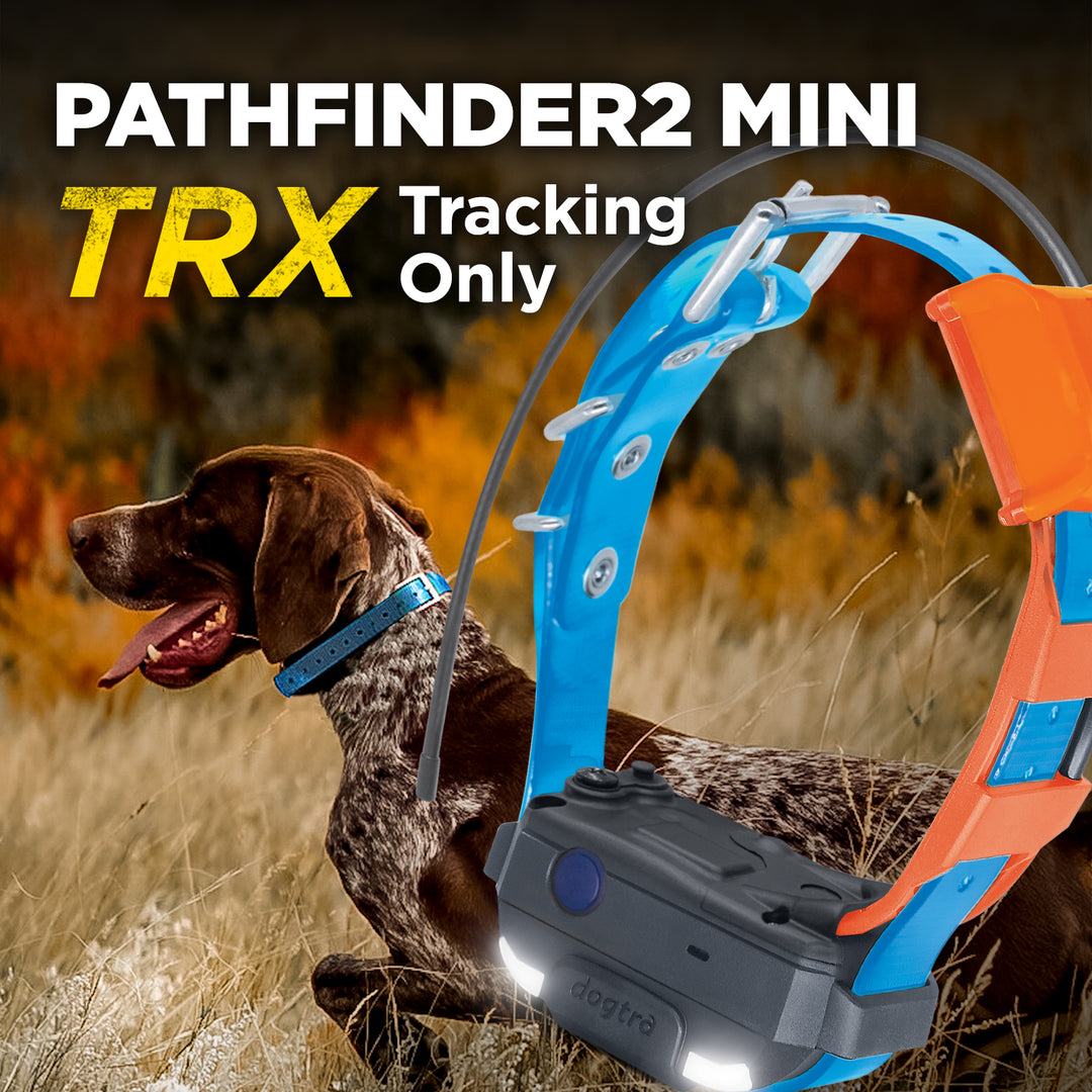 PATHFINDER2 MINI TRX ADDITIONAL RECEIVER - BLUE
