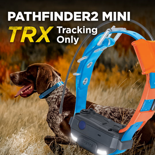PATHFINDER2 MINI TRX ADDITIONAL RECEIVER - BLUE