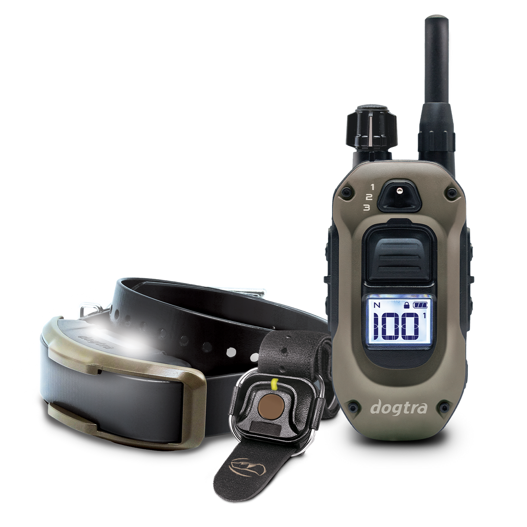 1900X HANDSFREE 1-DOG UNIT