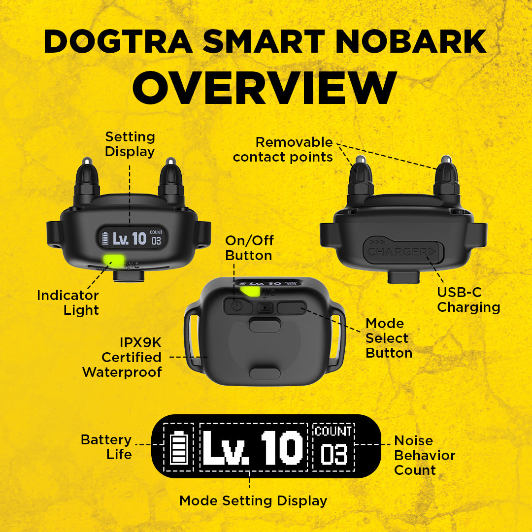 DOGTRA SMART NOBARK