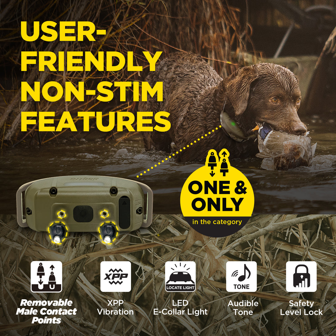 1900X CAMOUFLAGE ADDITIONAL RECEIVER