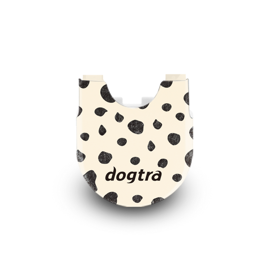 200iQ CASE MODERN DOTS