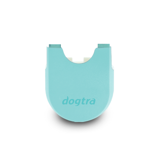 200iQ CASE TEAL