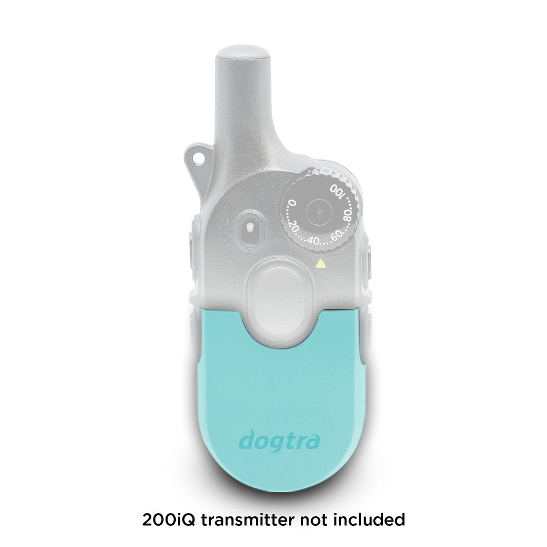 200iQ CASE TEAL