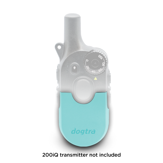 200iQ CASE TEAL