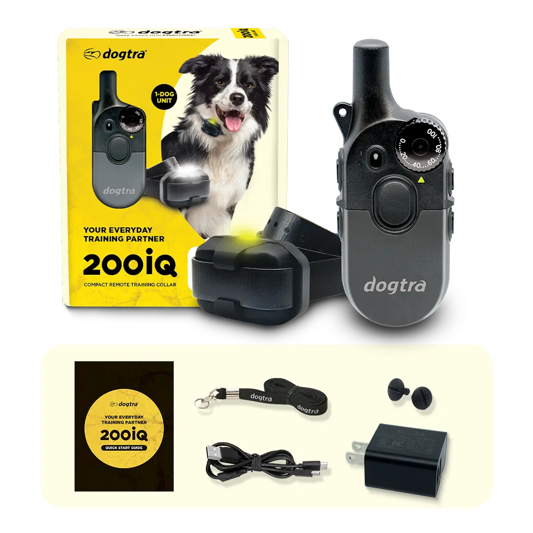 200iQ 2-DOG UNIT