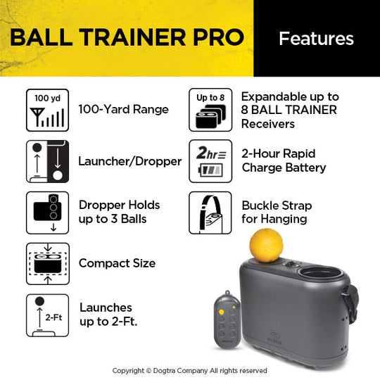 BALL TRAINER PRO