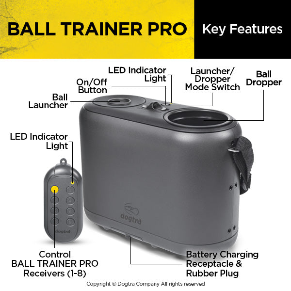 BALL TRAINER PRO