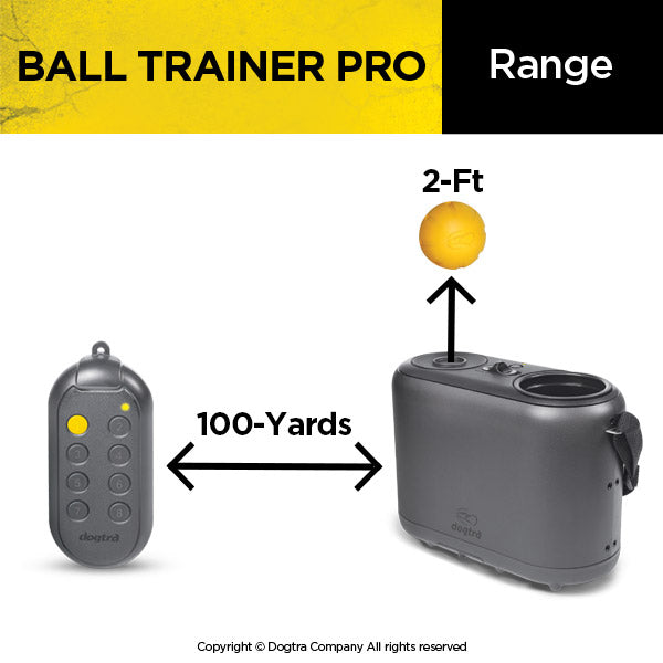 BALL TRAINER PRO