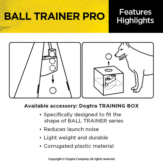 BALL TRAINER PRO