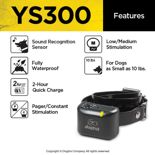 YS300